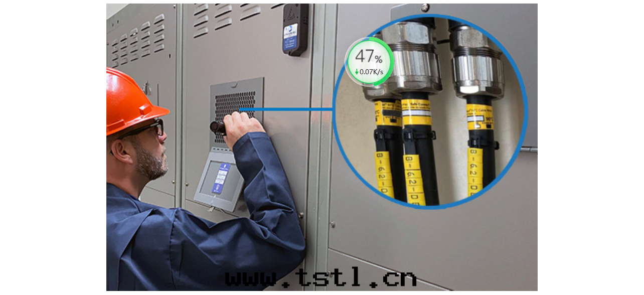 IRISS測温(wēn)标(biāo)签(qiān)