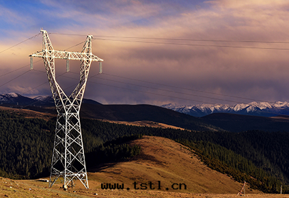 電(diàn)网(wǎng)